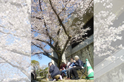 山口県　山口市小郡　花音